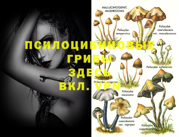 сатива Волосово