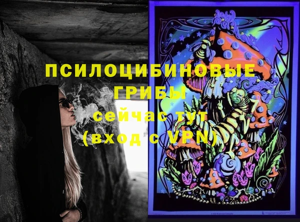 сатива Волосово