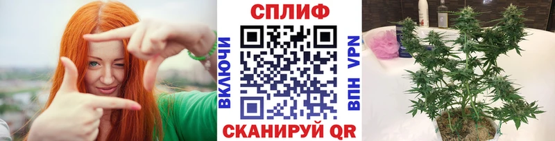 МАРИХУАНА гибрид  мориарти клад  Долинск 